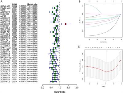 Identification of platinum resistance-related gene signature for prognosis and immune analysis in bladder cancer